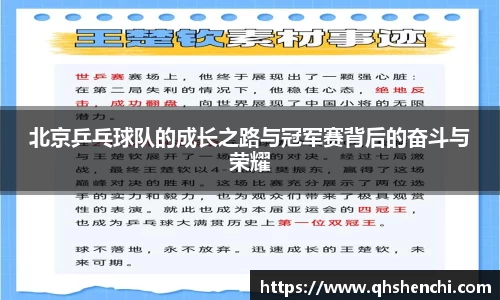 北京乒乓球队的成长之路与冠军赛背后的奋斗与荣耀